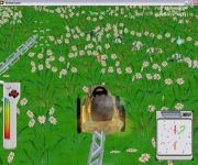 Virtual Lawn Hunter